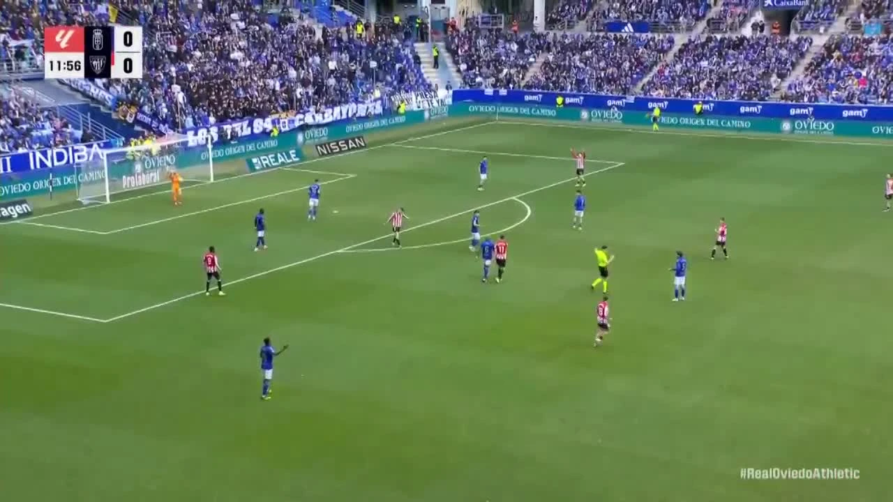 zaslepka skrotu video