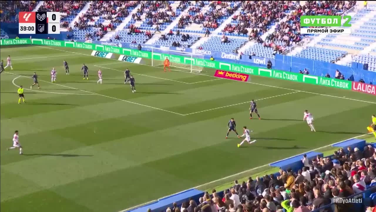 zaslepka skrotu video