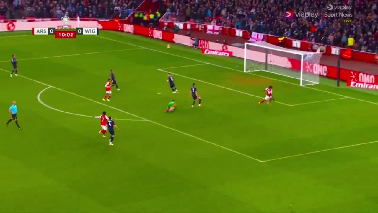 zaslepka skrotu video