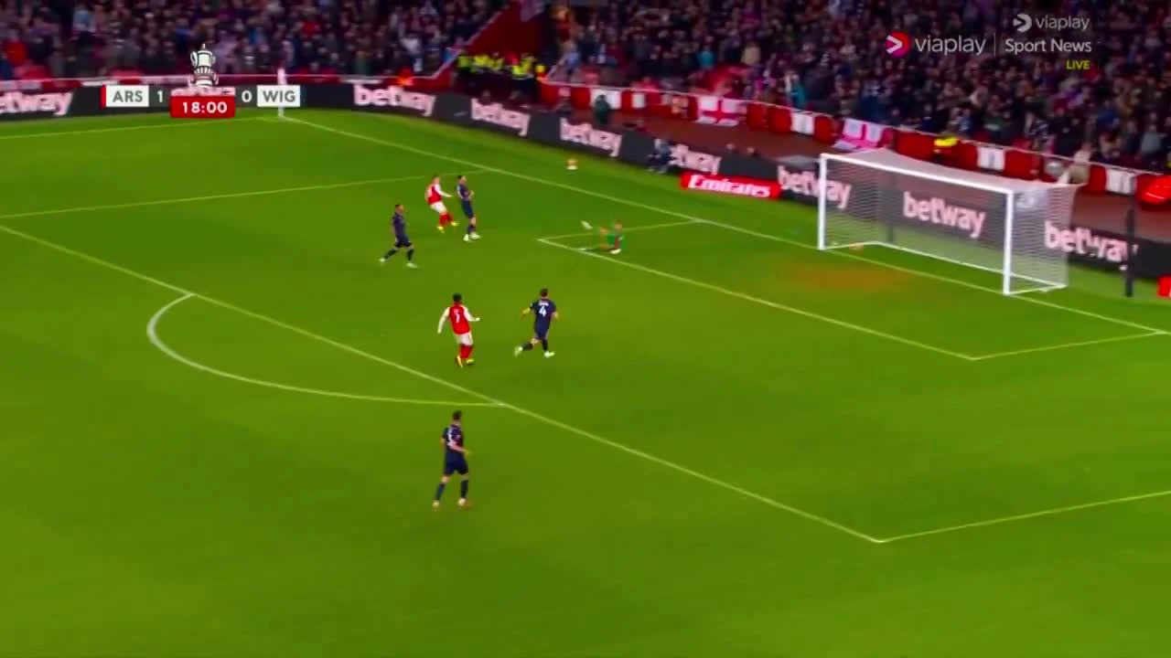 zaslepka skrotu video