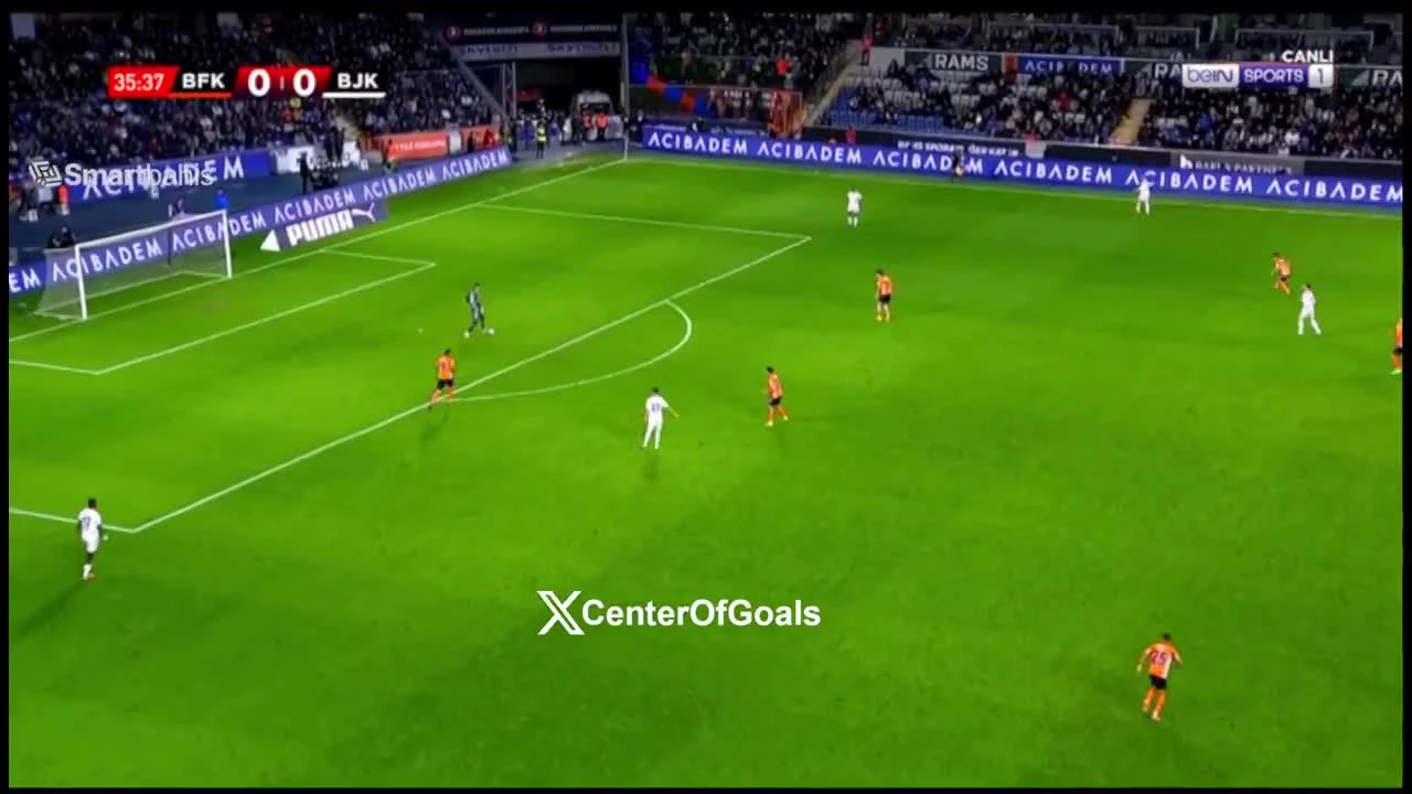 zaslepka skrotu video