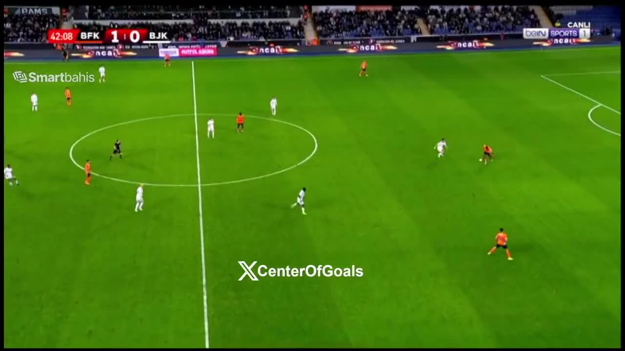 zaslepka skrotu video