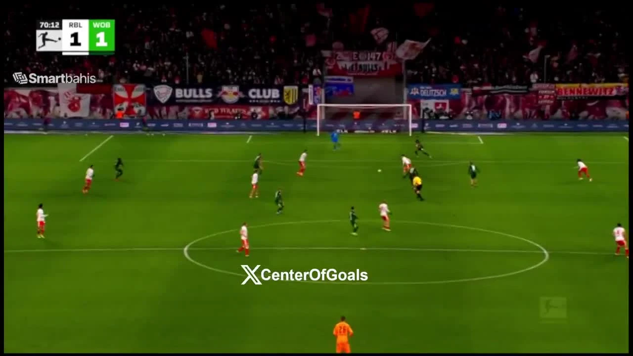 zaslepka skrotu video