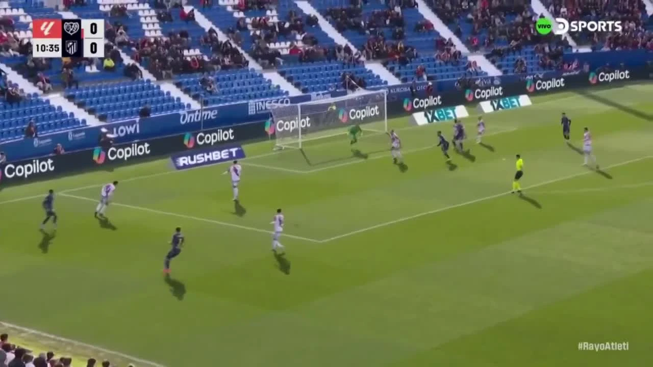 zaslepka skrotu video