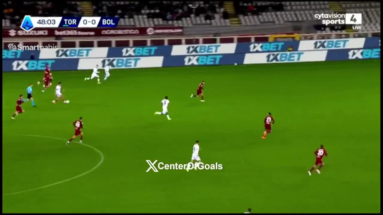 zaslepka skrotu video