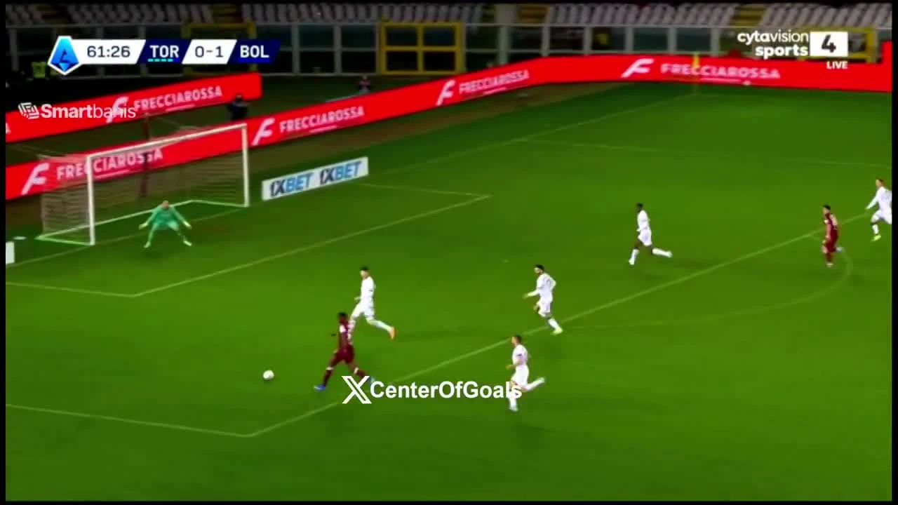 zaslepka skrotu video