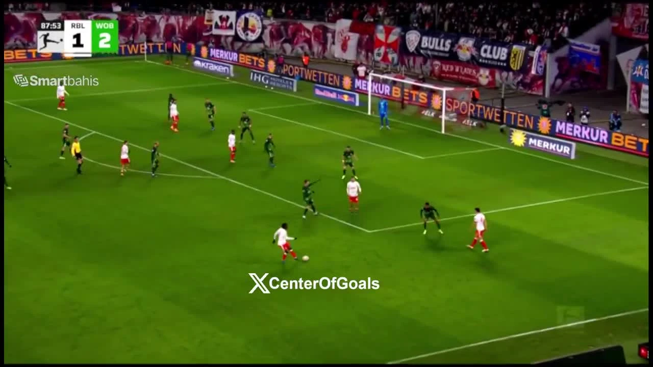 zaslepka skrotu video