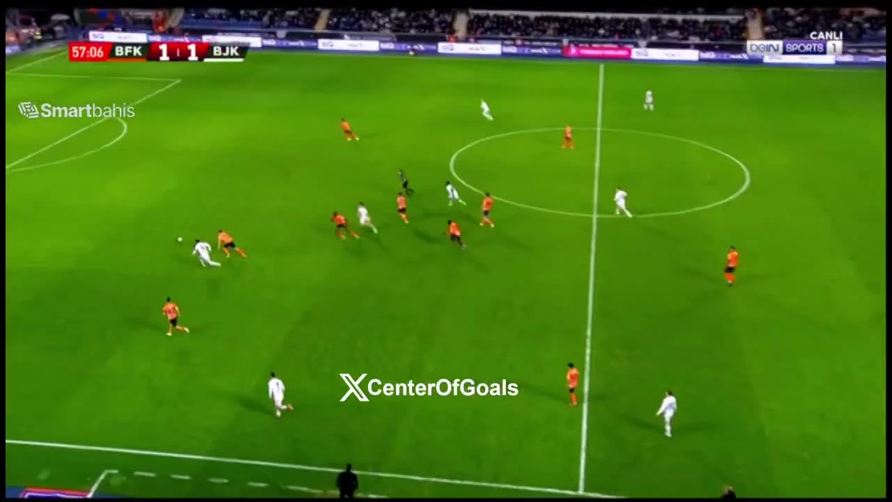 zaslepka skrotu video