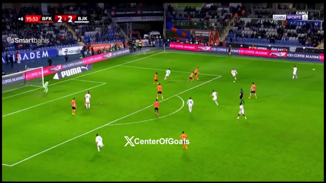 zaslepka skrotu video