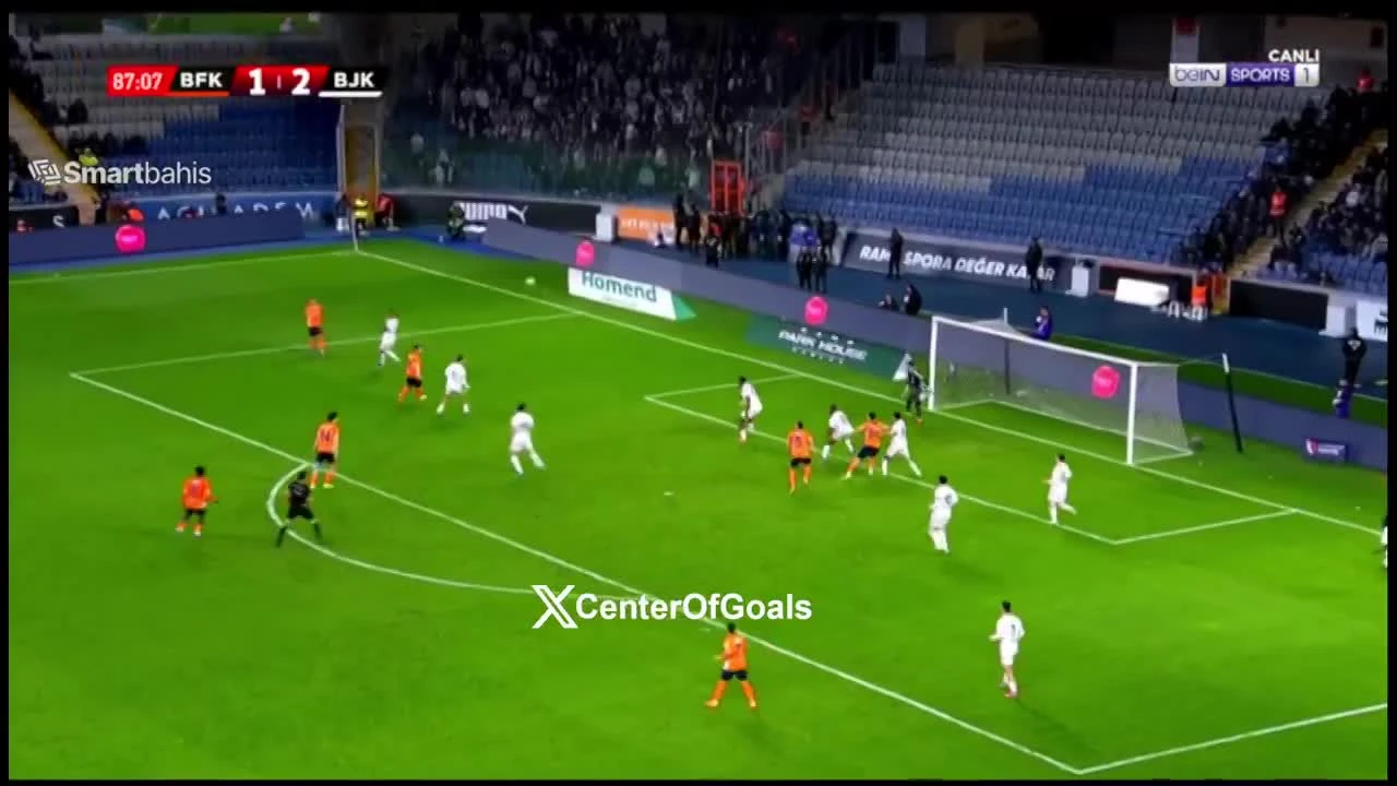 zaslepka skrotu video