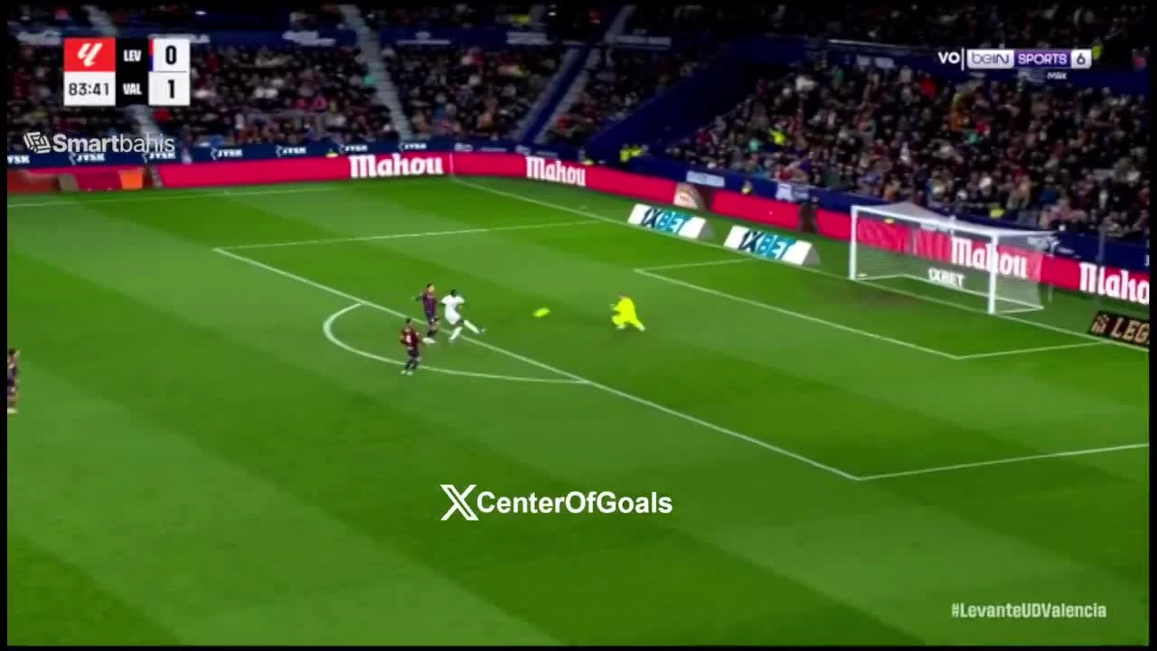 zaslepka skrotu video