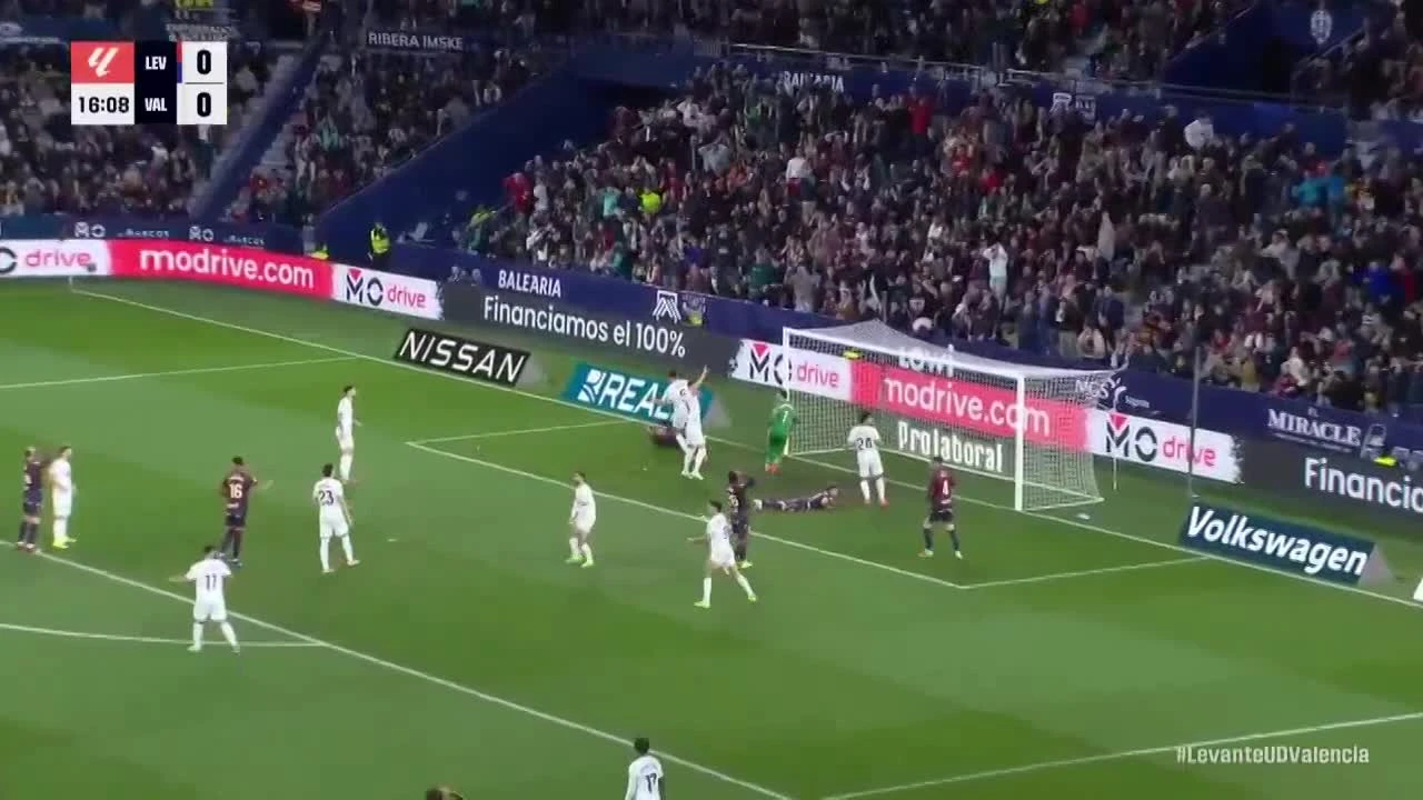 zaslepka skrotu video