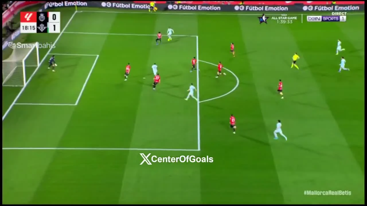 zaslepka skrotu video