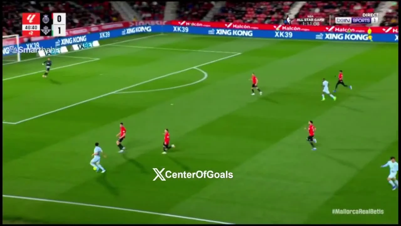 zaslepka skrotu video