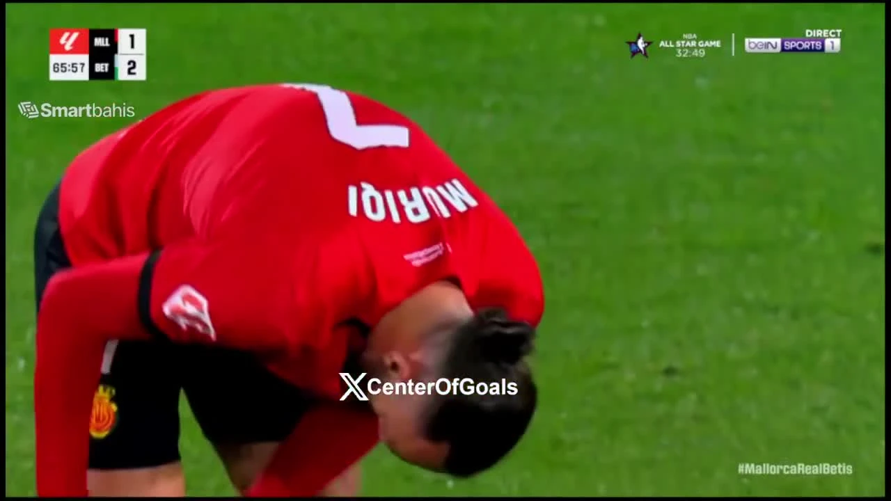 zaslepka skrotu video