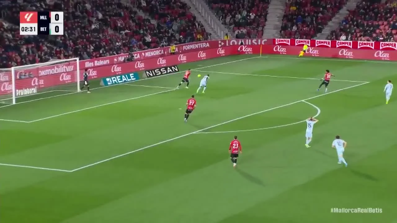 zaslepka skrotu video