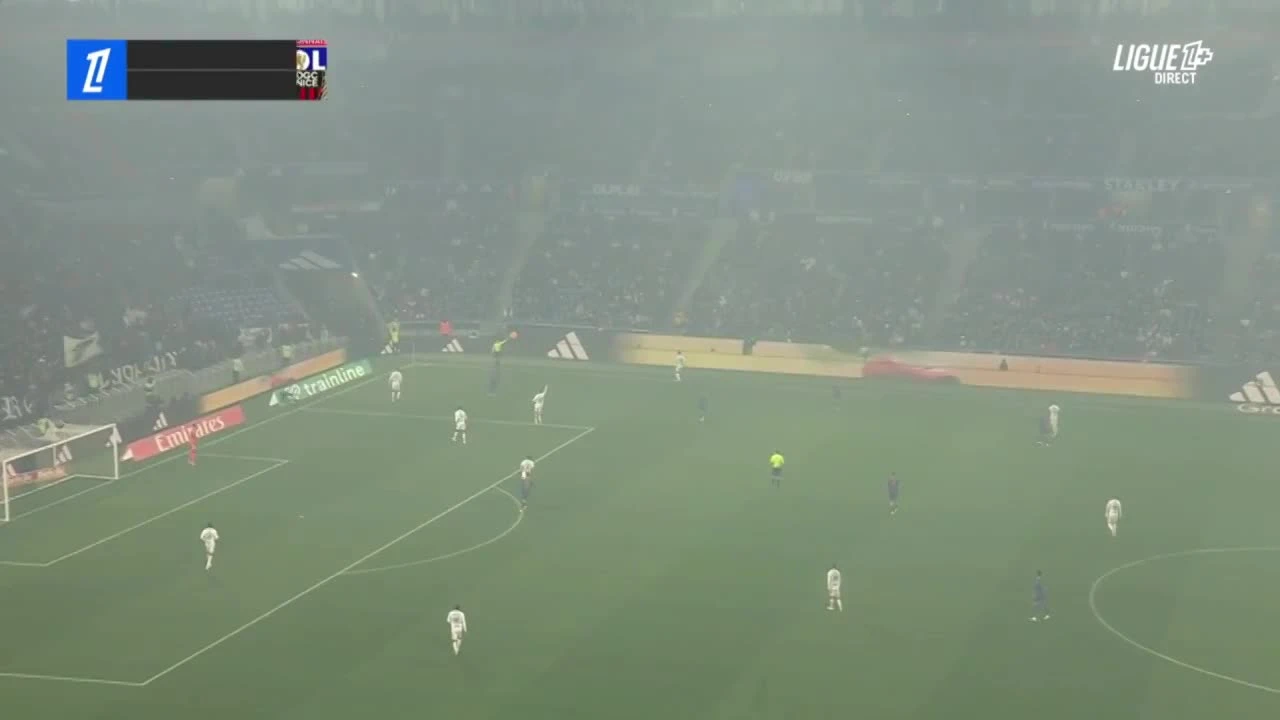 zaslepka skrotu video