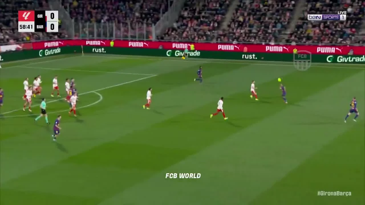 zaslepka skrotu video