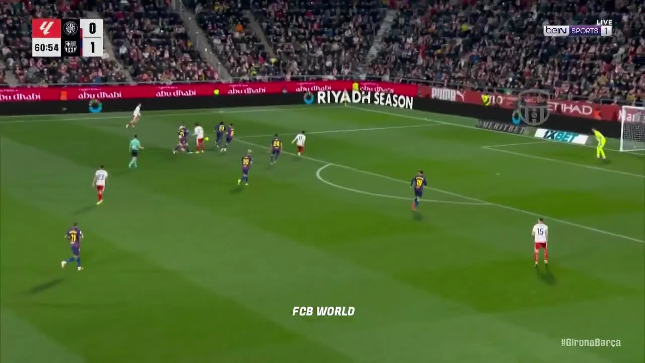 zaslepka skrotu video