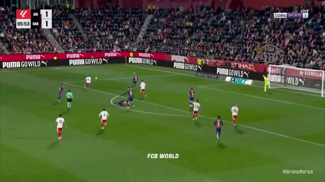 zaslepka skrotu video