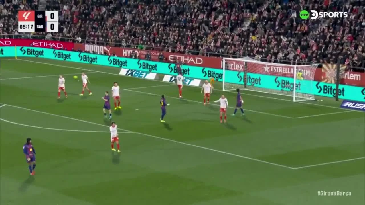 zaslepka skrotu video