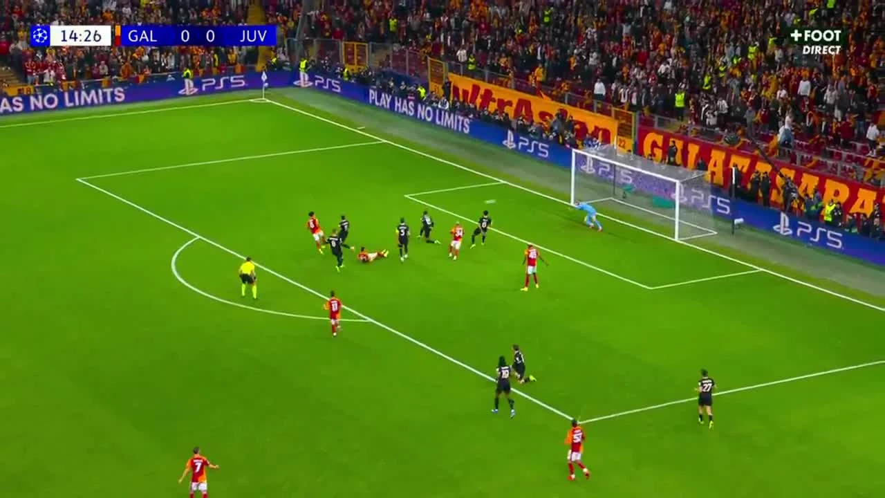 zaslepka skrotu video