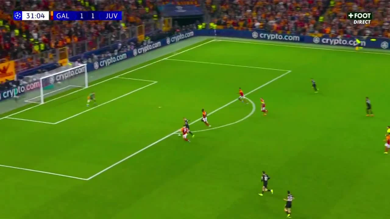 zaslepka skrotu video