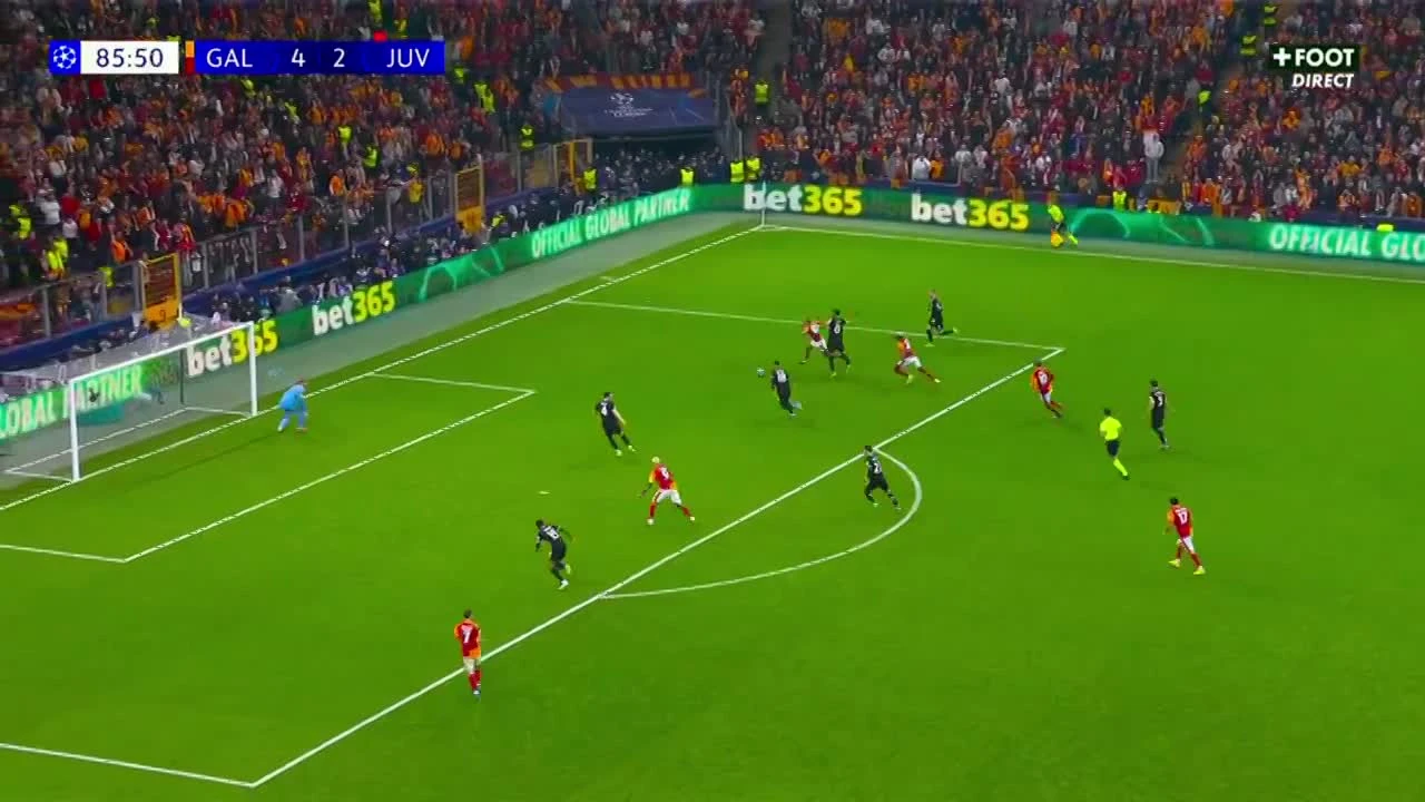 zaslepka skrotu video