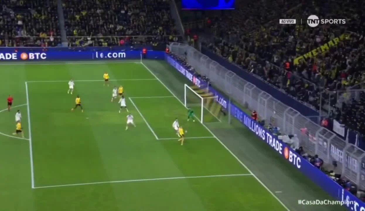 zaslepka skrotu video