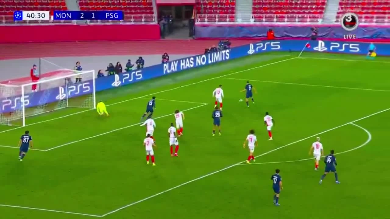 zaslepka skrotu video