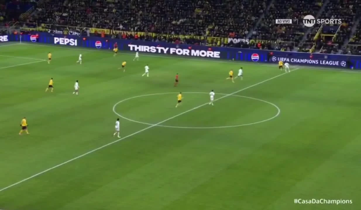 zaslepka skrotu video