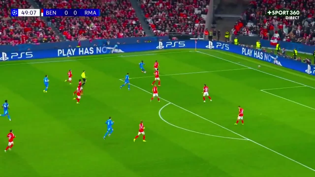 zaslepka skrotu video