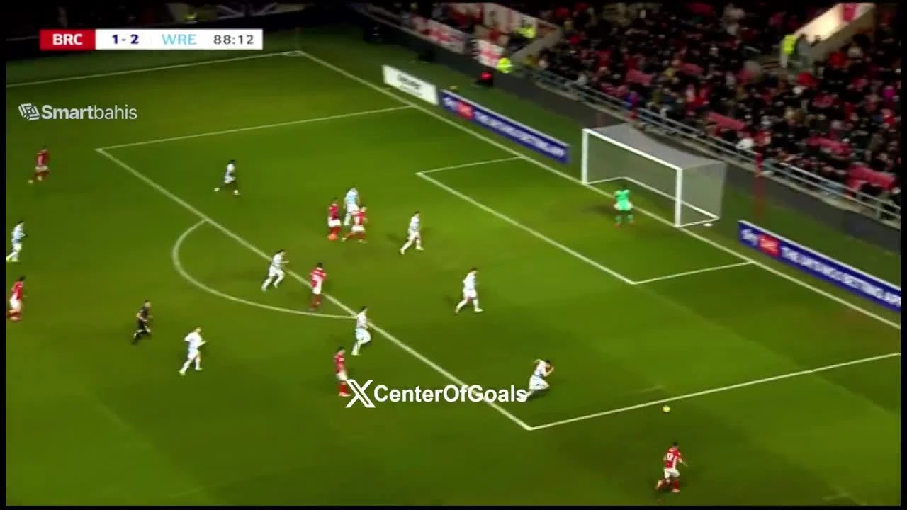 zaslepka skrotu video