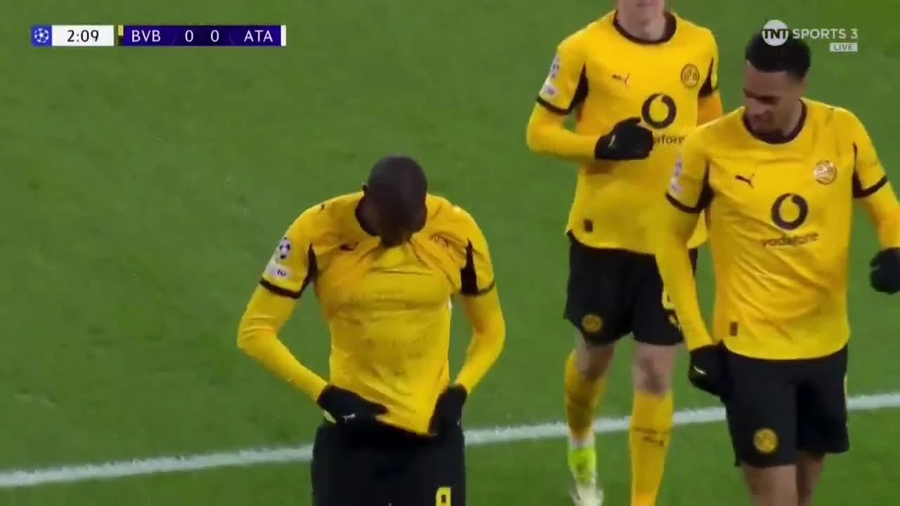 zaslepka skrotu video