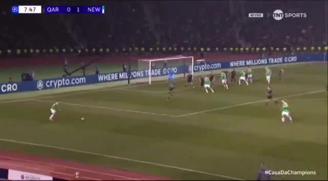 zaslepka skrotu video