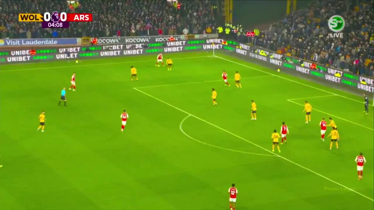 zaslepka skrotu video