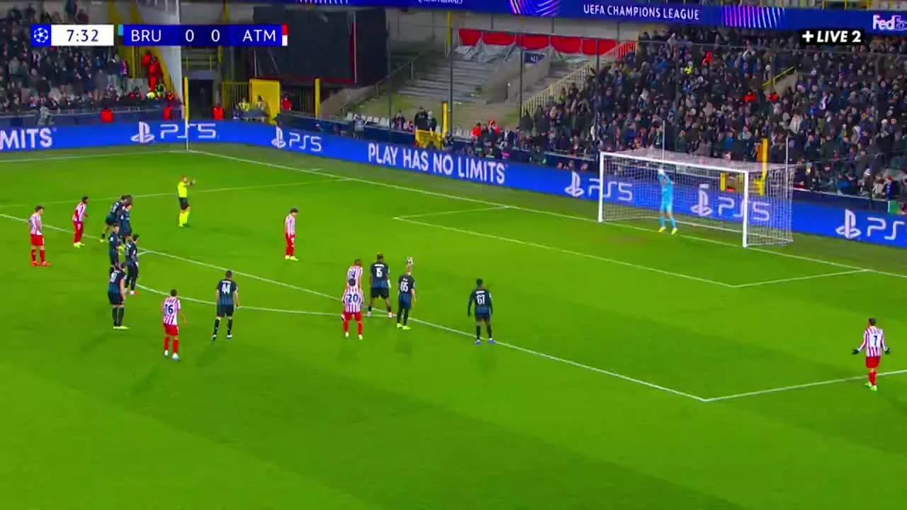 zaslepka skrotu video