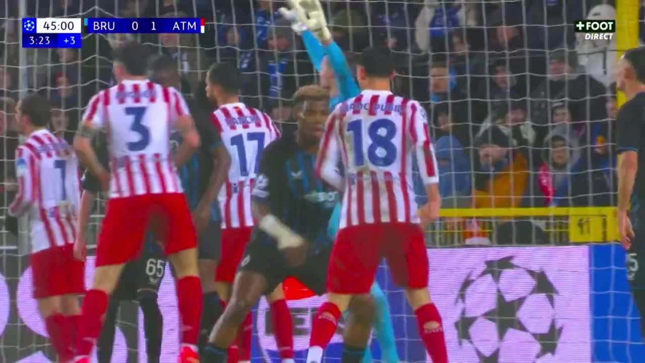 zaslepka skrotu video