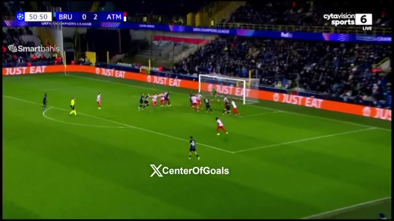 zaslepka skrotu video