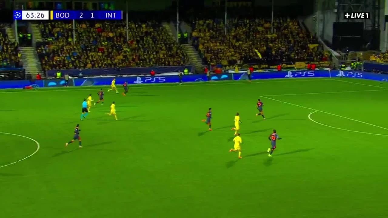 zaslepka skrotu video