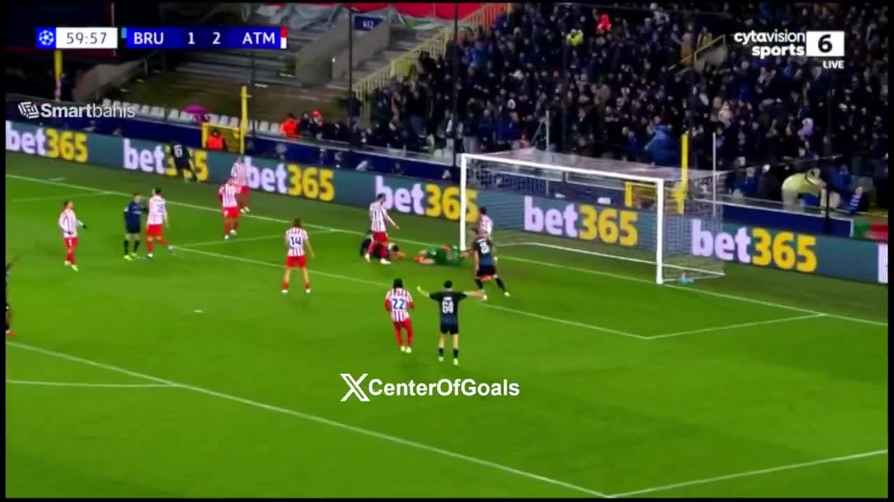 zaslepka skrotu video