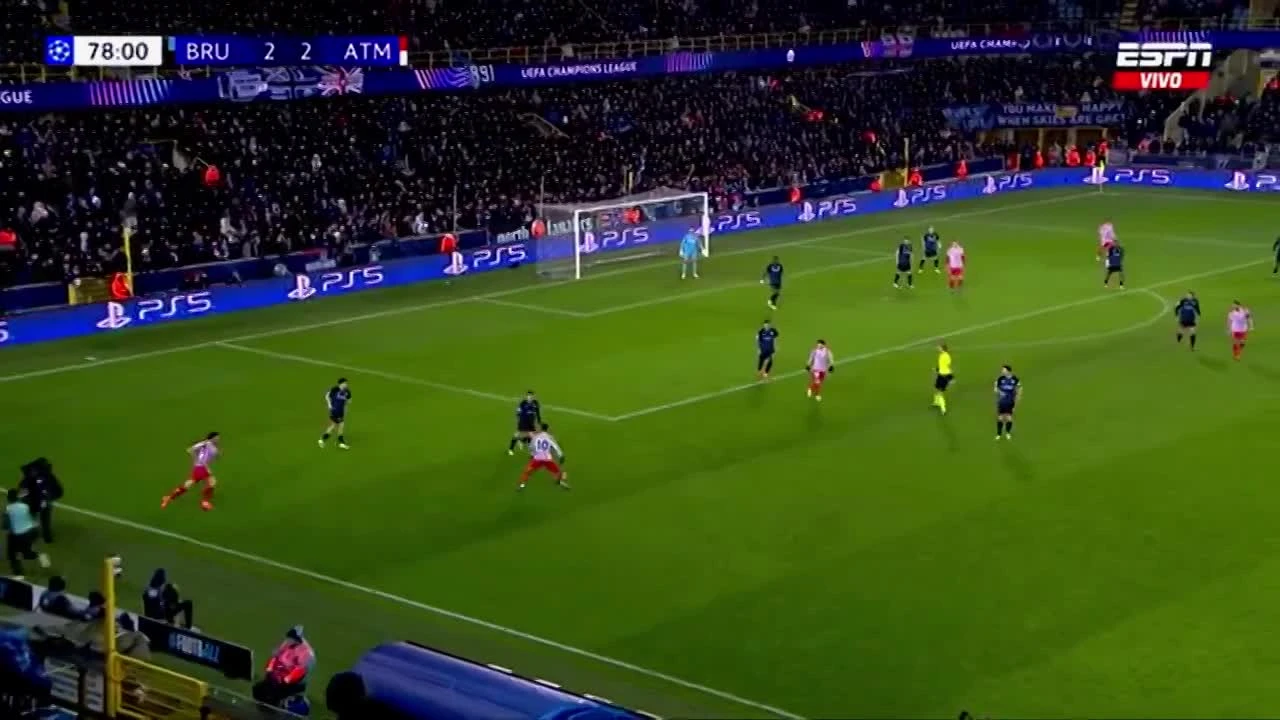 zaslepka skrotu video