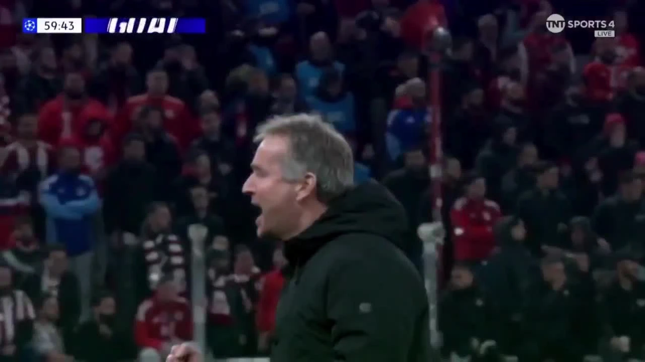 zaslepka skrotu video