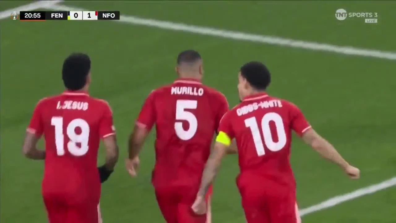 zaslepka skrotu video