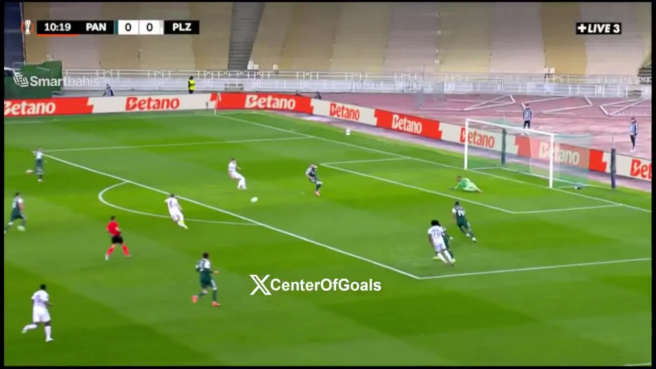 zaslepka skrotu video