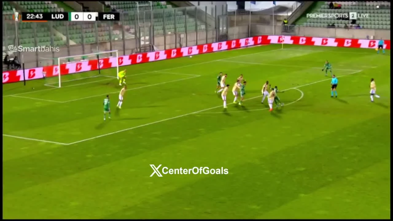 zaslepka skrotu video