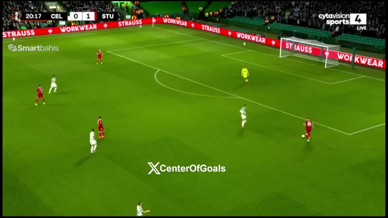 zaslepka skrotu video