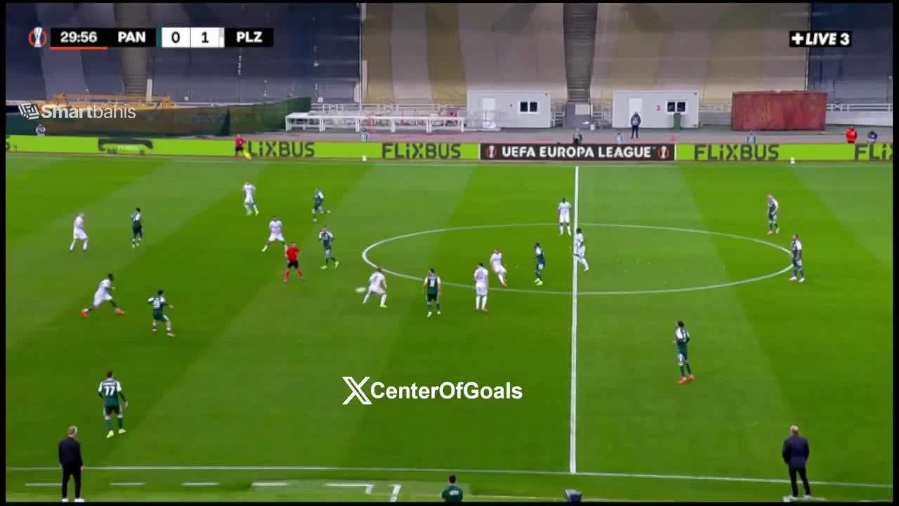 zaslepka skrotu video