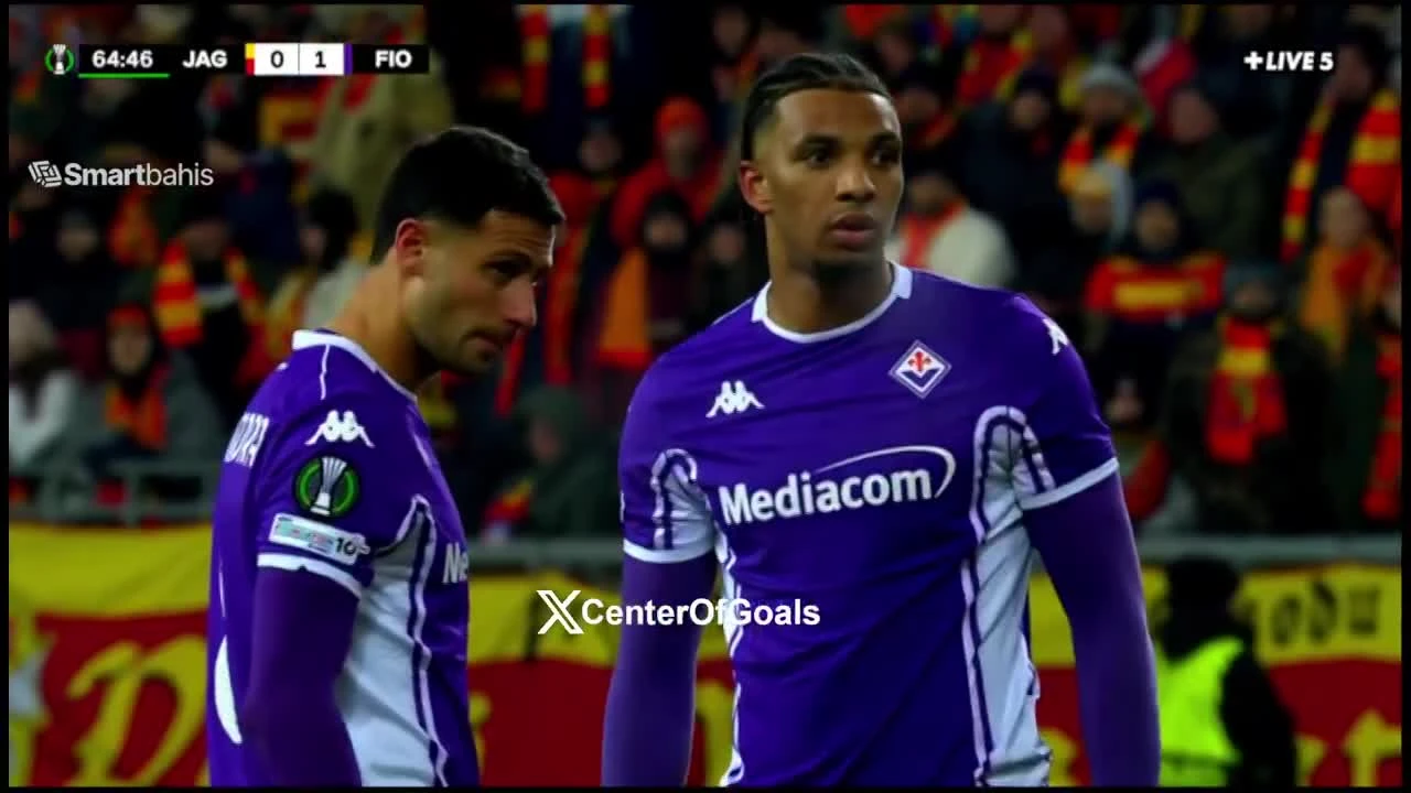 zaslepka skrotu video