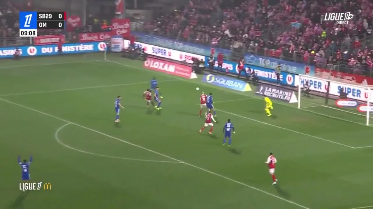 zaslepka skrotu video